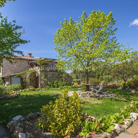 Ca'Novae - Tuscany Farmhouse Montieri Kültér fotó