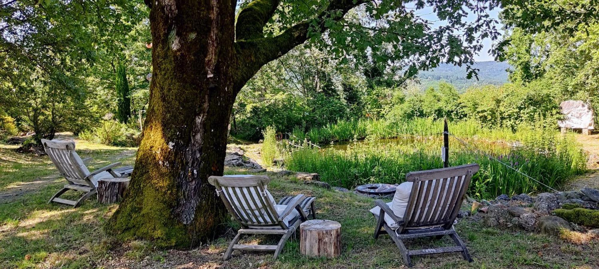 Ca'Novae - Tuscany Farmhouse Montieri Kültér fotó